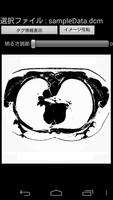 DICOM Viewer For Japanese