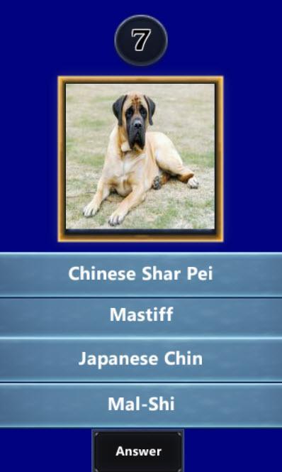 ﻿Quizup the Dog breed