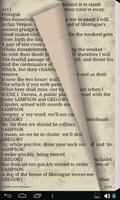 Romeo and Juliet - eBook