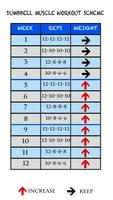 Dumbbell Muscle Workout Plan T