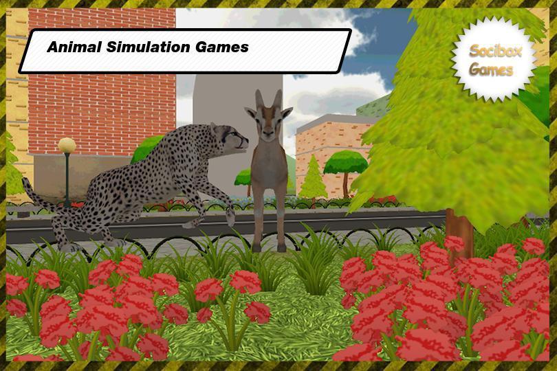 Hunting With Cheetahs