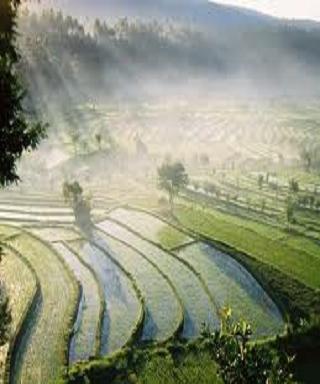 Bali Wallpaper