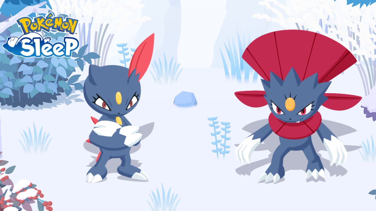 Cara mendapatkan sneasel dan weavile dalam tidur pokemon