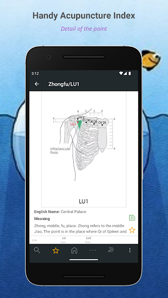 TCM Acupuncture Index/Acupoint