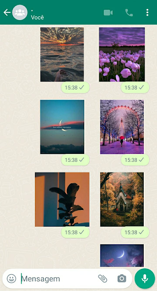 Aesthetic Stickers