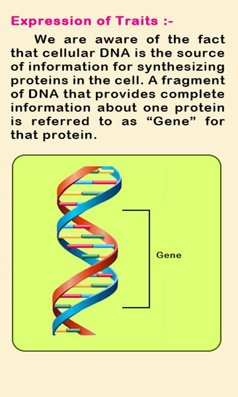 Biology IV