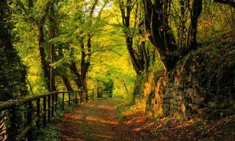 Autumn wallpapers