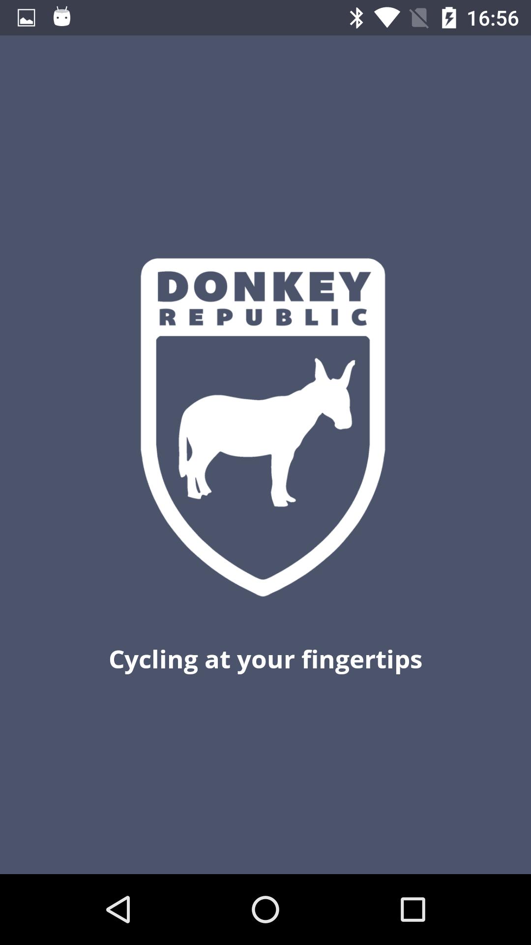 Donkey Owner