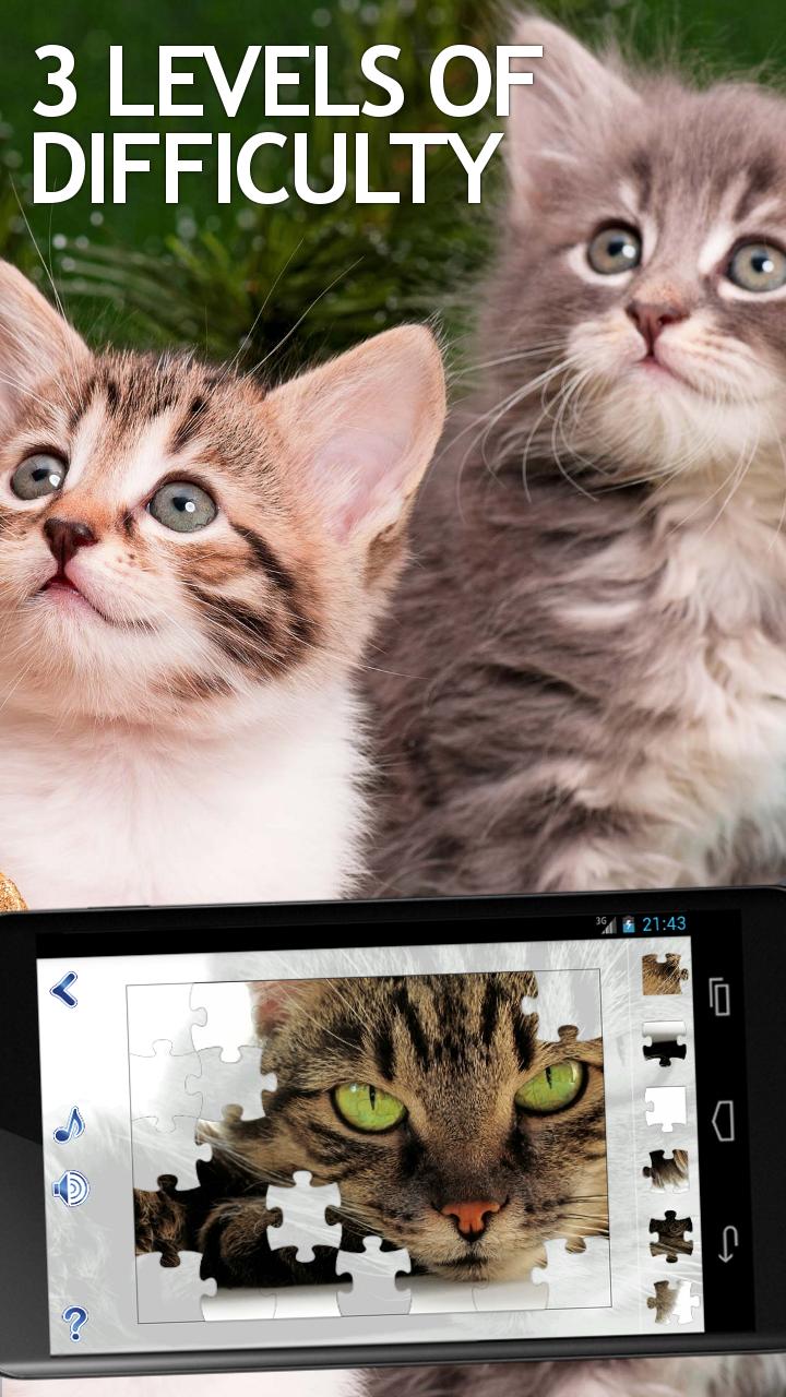 Jigsaw Puzzles Cats