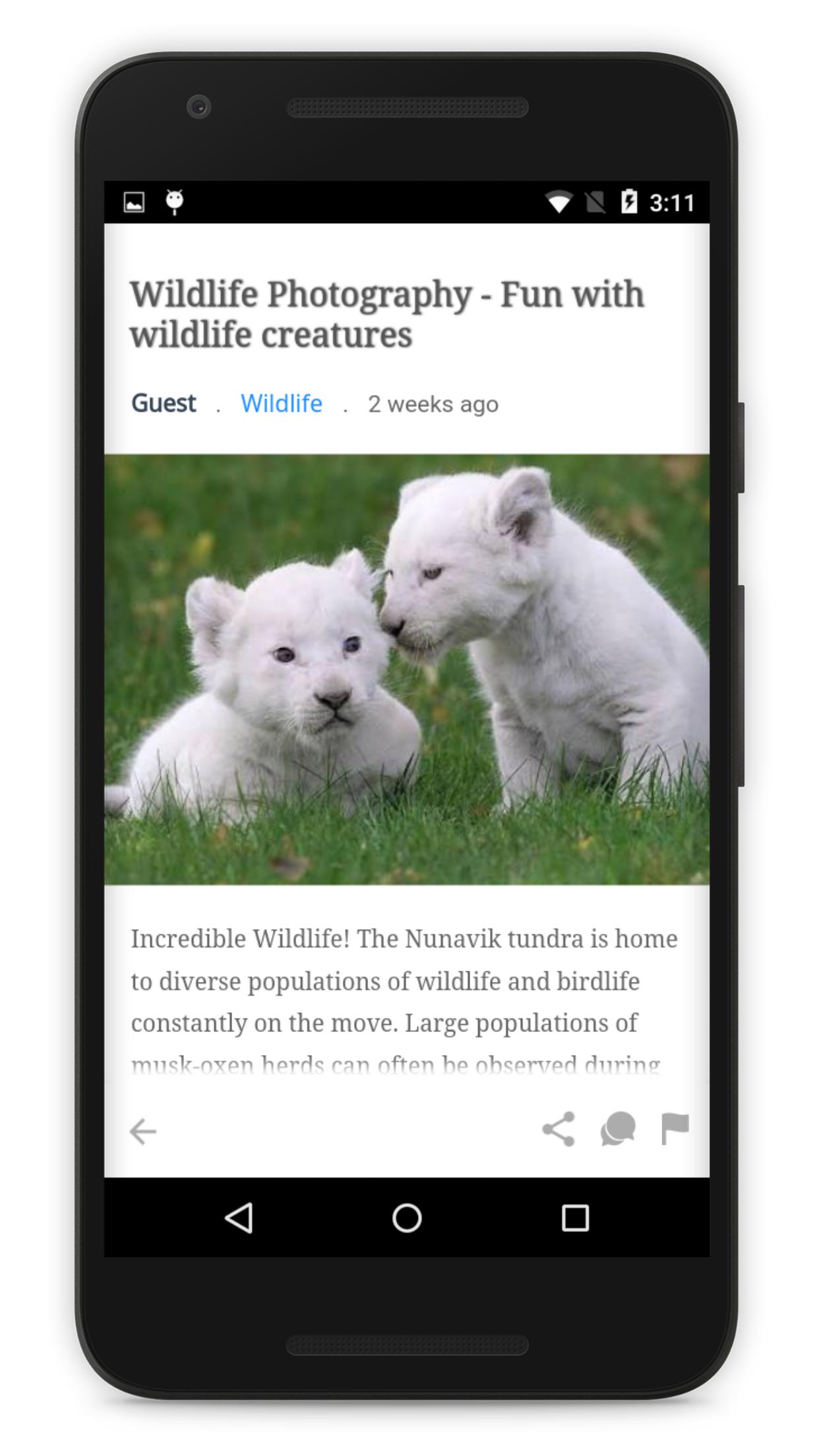 The Blog App