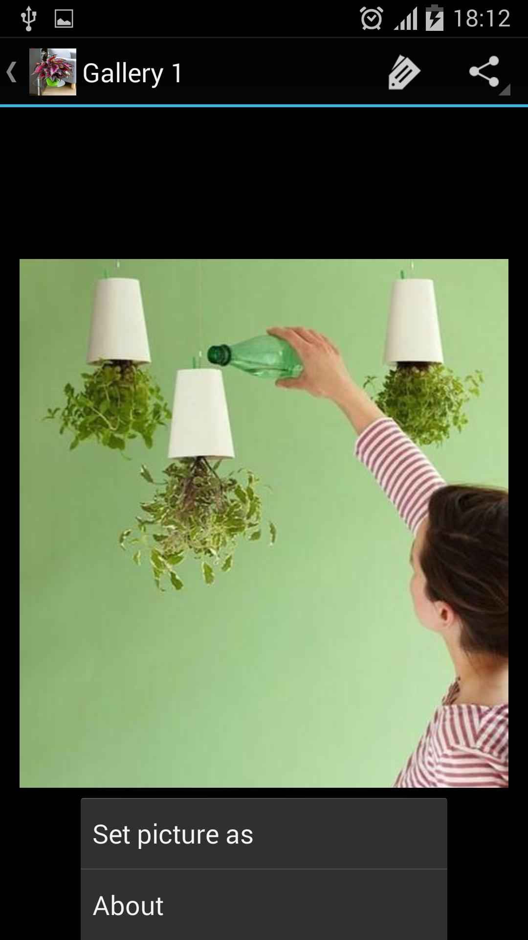 Indoor Plants