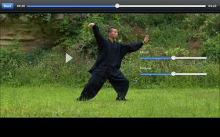 Tai-Chi Lite