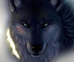 3D Wolf
