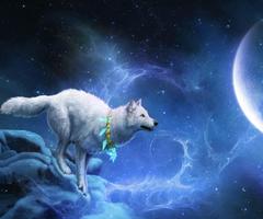 3D Wolf