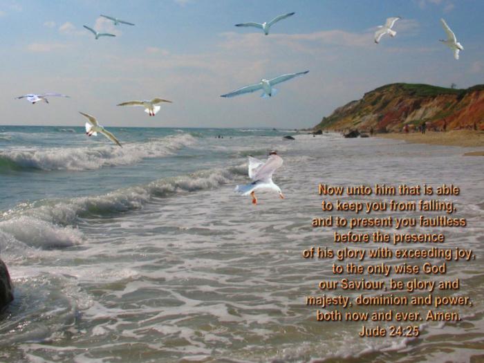 Chronological Bible Studies