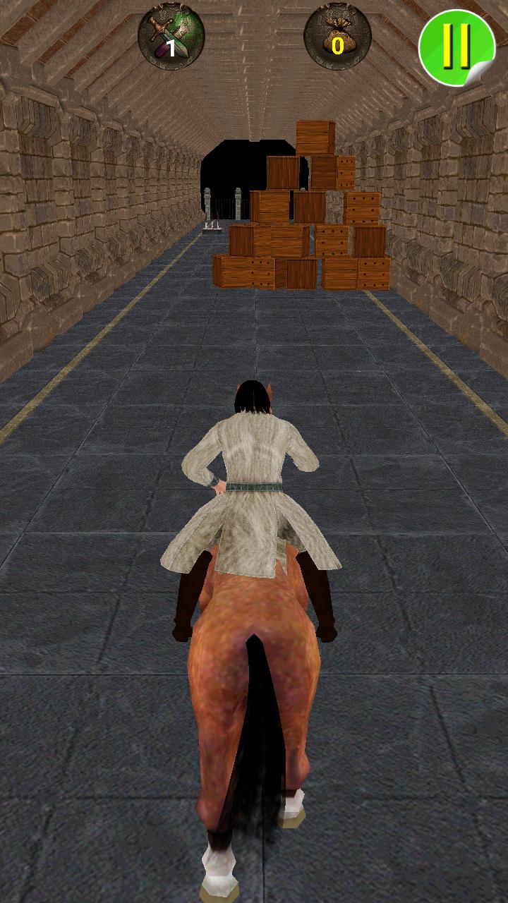 Dungeon Assassin Horse Run 3D