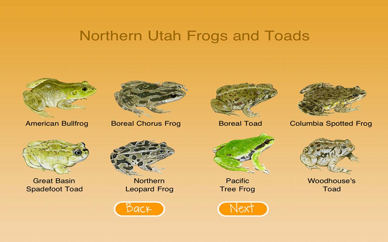 Utah's Hogle Zoo FrogWatch