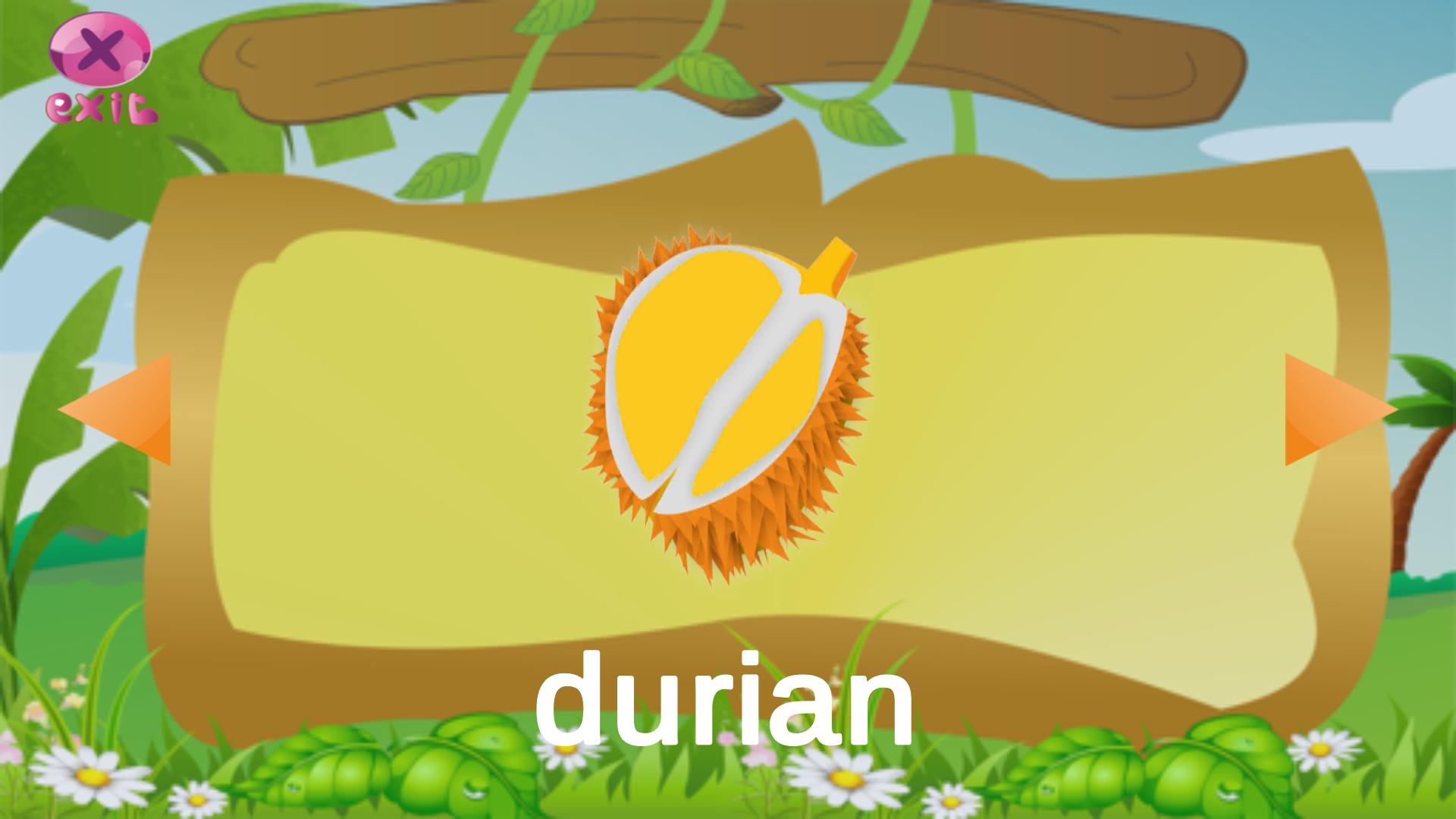 Mengenal Buah Sayur Hewan