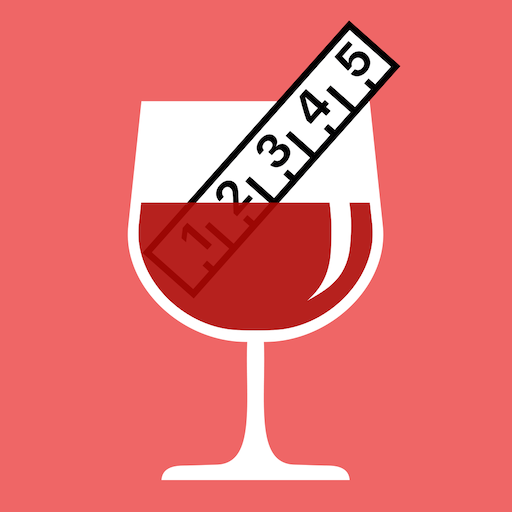 DrinkControl - Alcohol Tracker