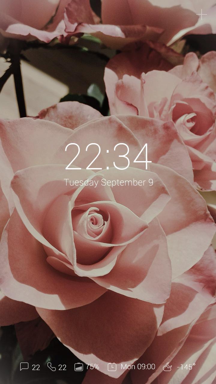 (FREE) Blossom GO Locker Theme