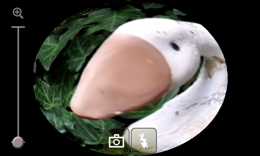 Fisheye Camera Effect 1