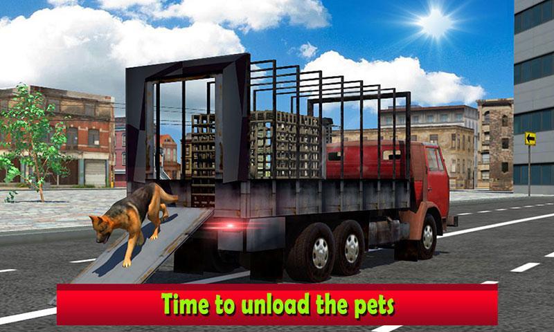 Pet Home Delivery: Van