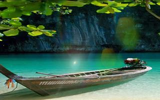 Sunshine Nature Leaf Wallpaper