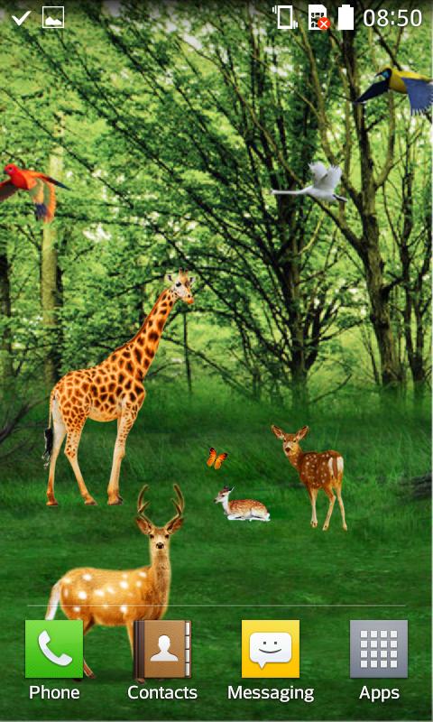 Forest HD Live Wallpaper