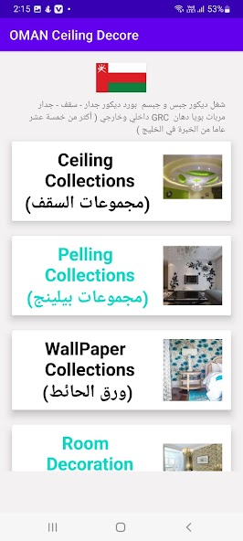 Ceiling Designs (OMAN)