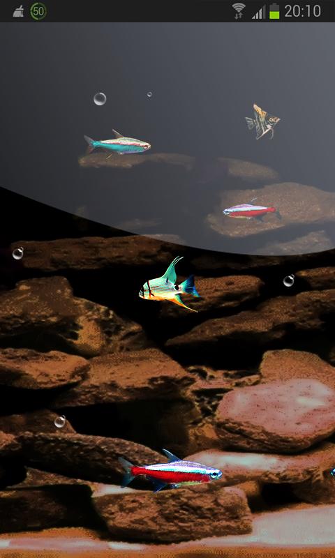 Tiny Fish HD LWP FREE Neon