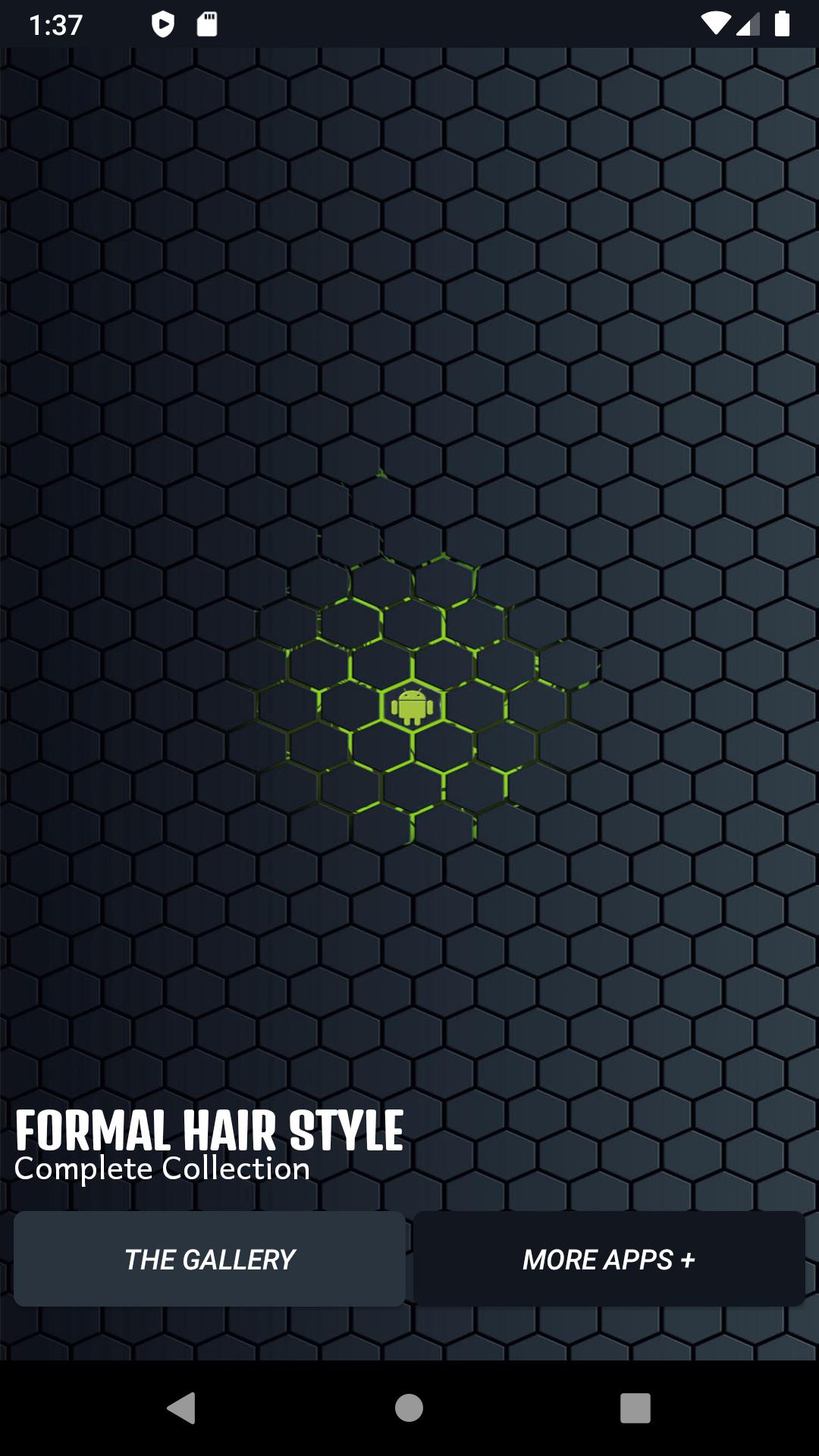 Formal Hair Style