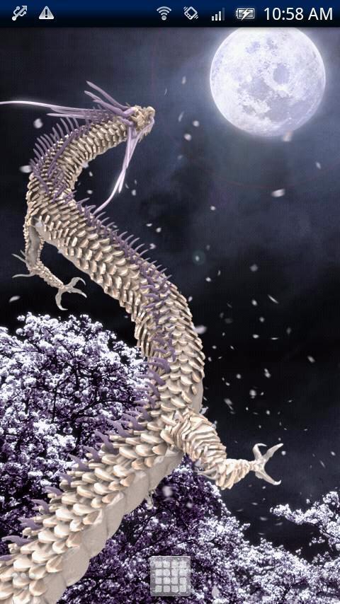 Black Dragon-DRAGON PJ Free