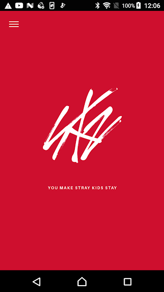 Stray Kids Light Stick