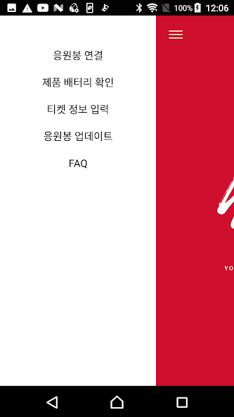 Stray Kids Light Stick