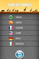 Sons de Animais