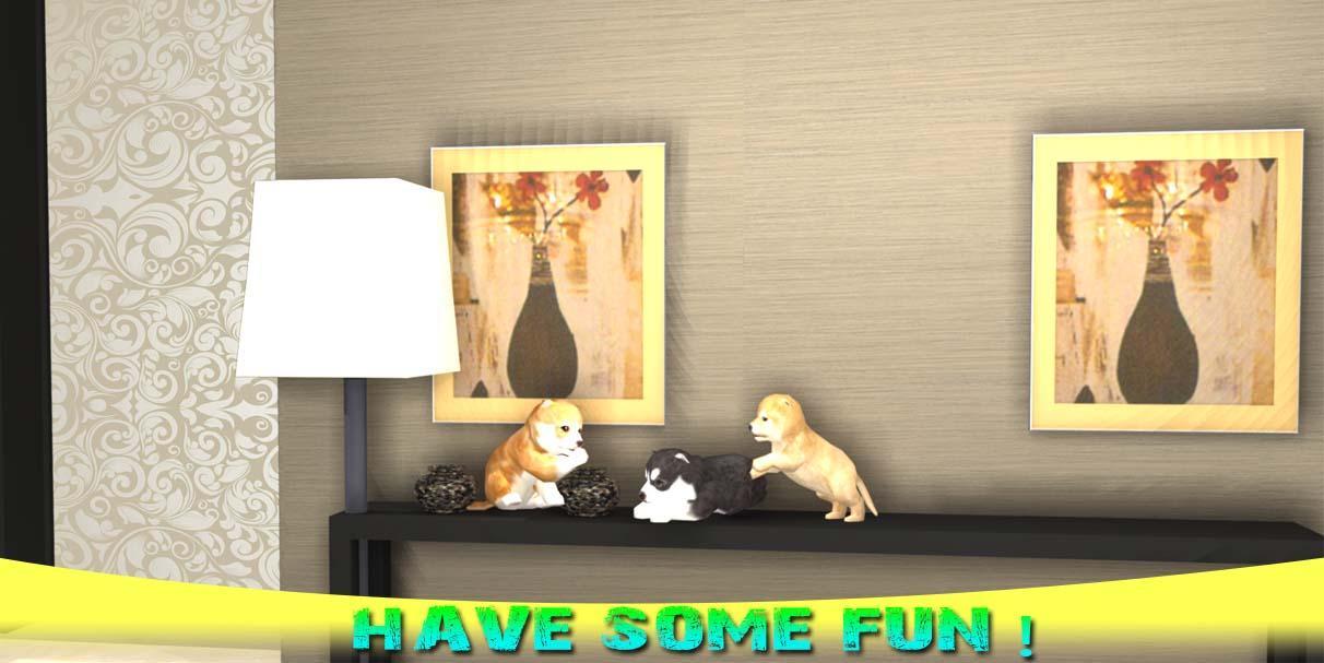 Little Puppy Dog At Home