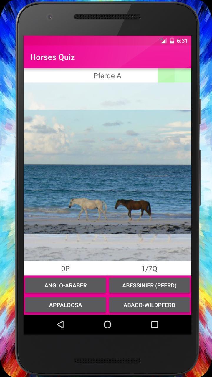 The Horses Quiz + Guide.