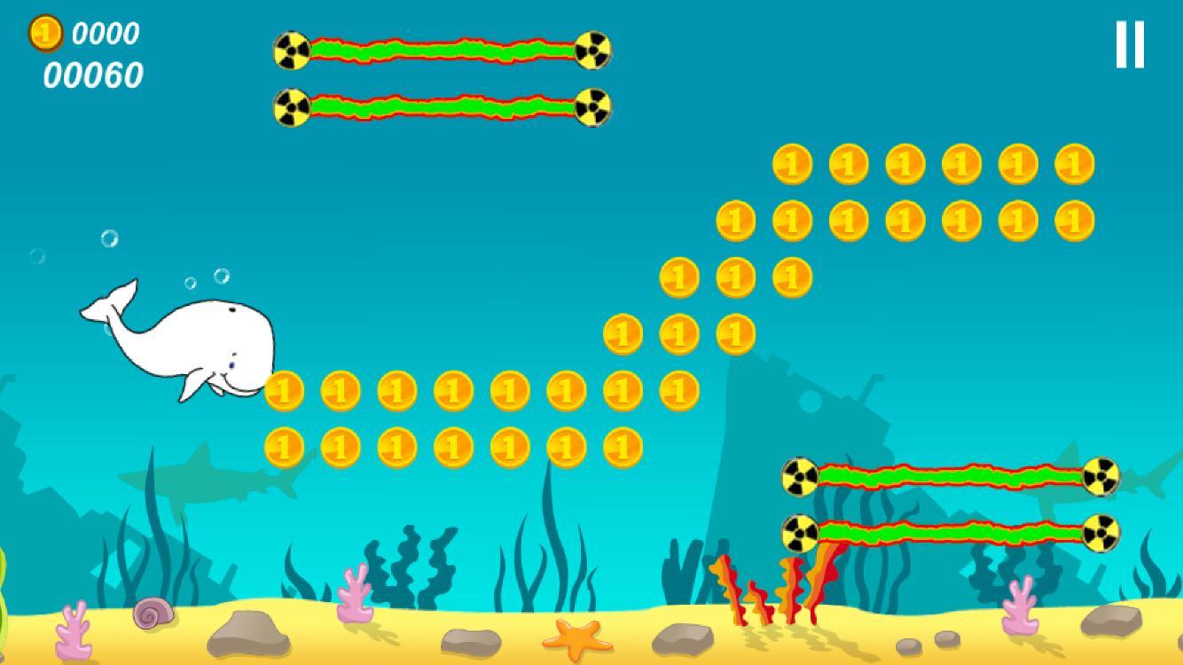 Migaloo the White Whale