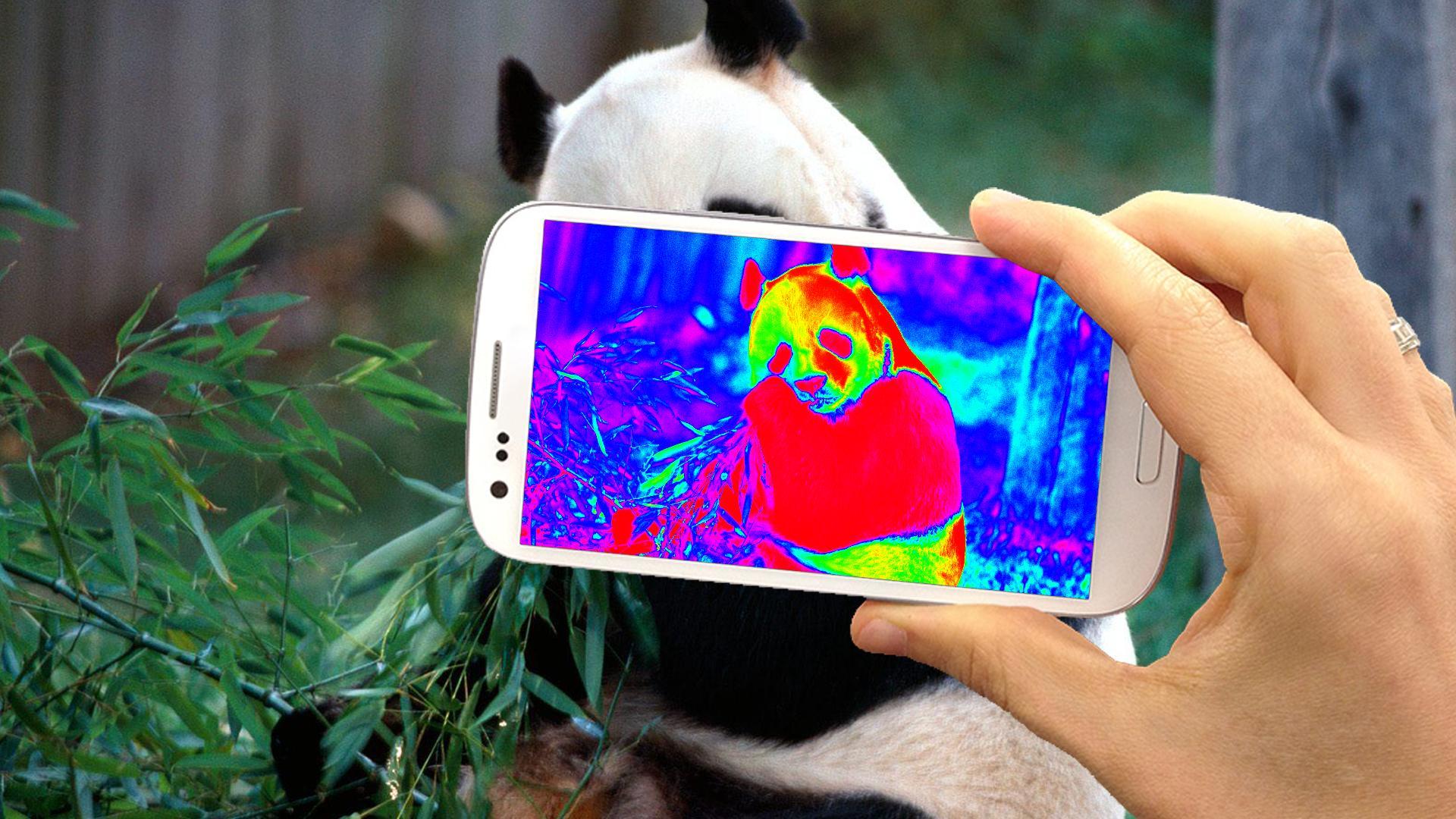 Thermal Vision Camera Fun