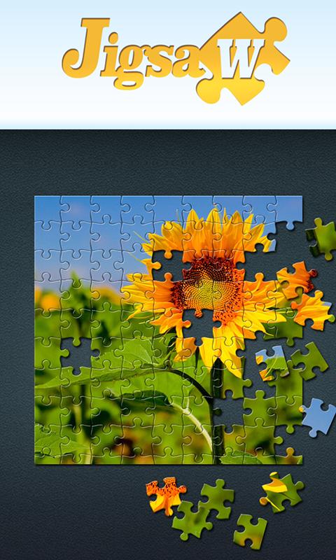 Jigsaw Puzzles 2015