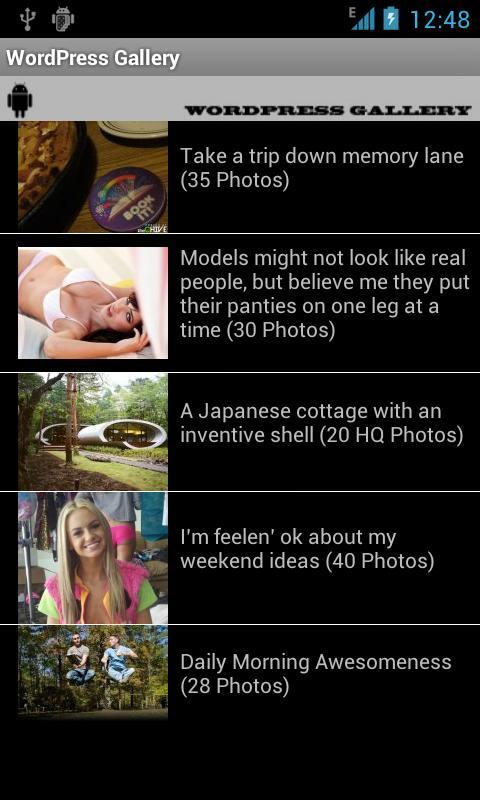 Word Press Gallery