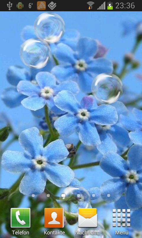 Forget-me-not Live Wallpaper