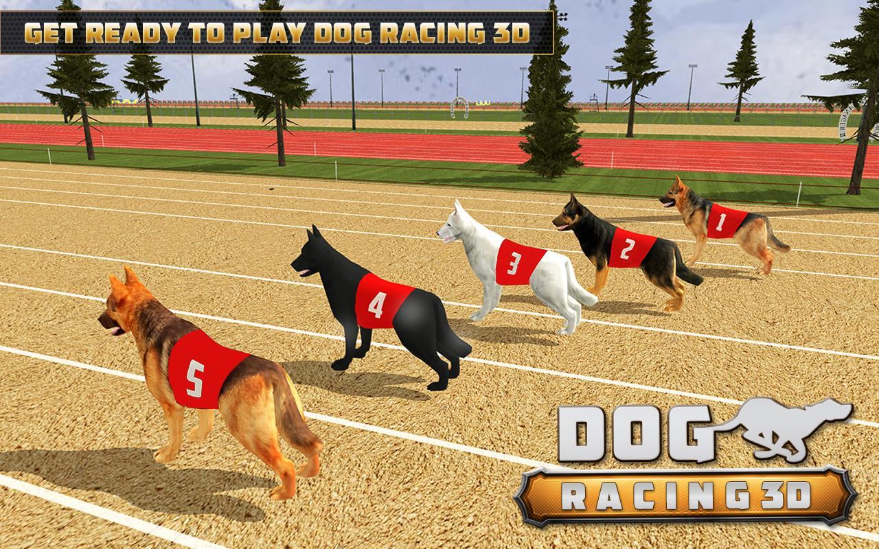 Dog Racing  3D Run  Animal  Doggy Race: pet Racing
