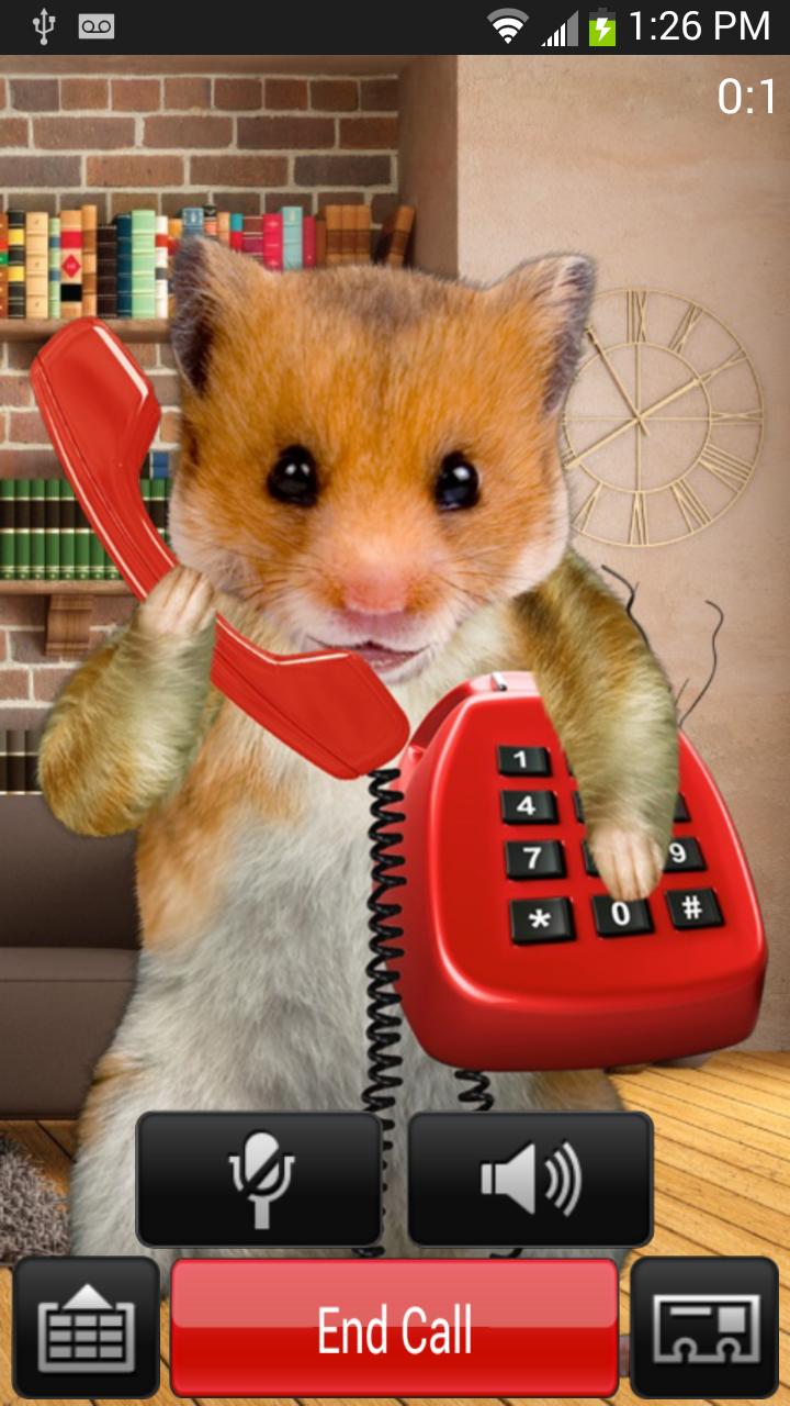 Hamster Phone Call