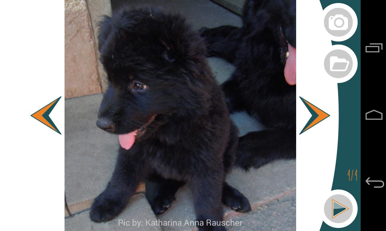 Sliding Picture Puzzle Rebus