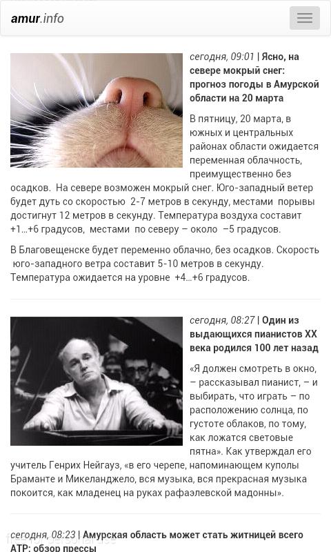 amur.info
