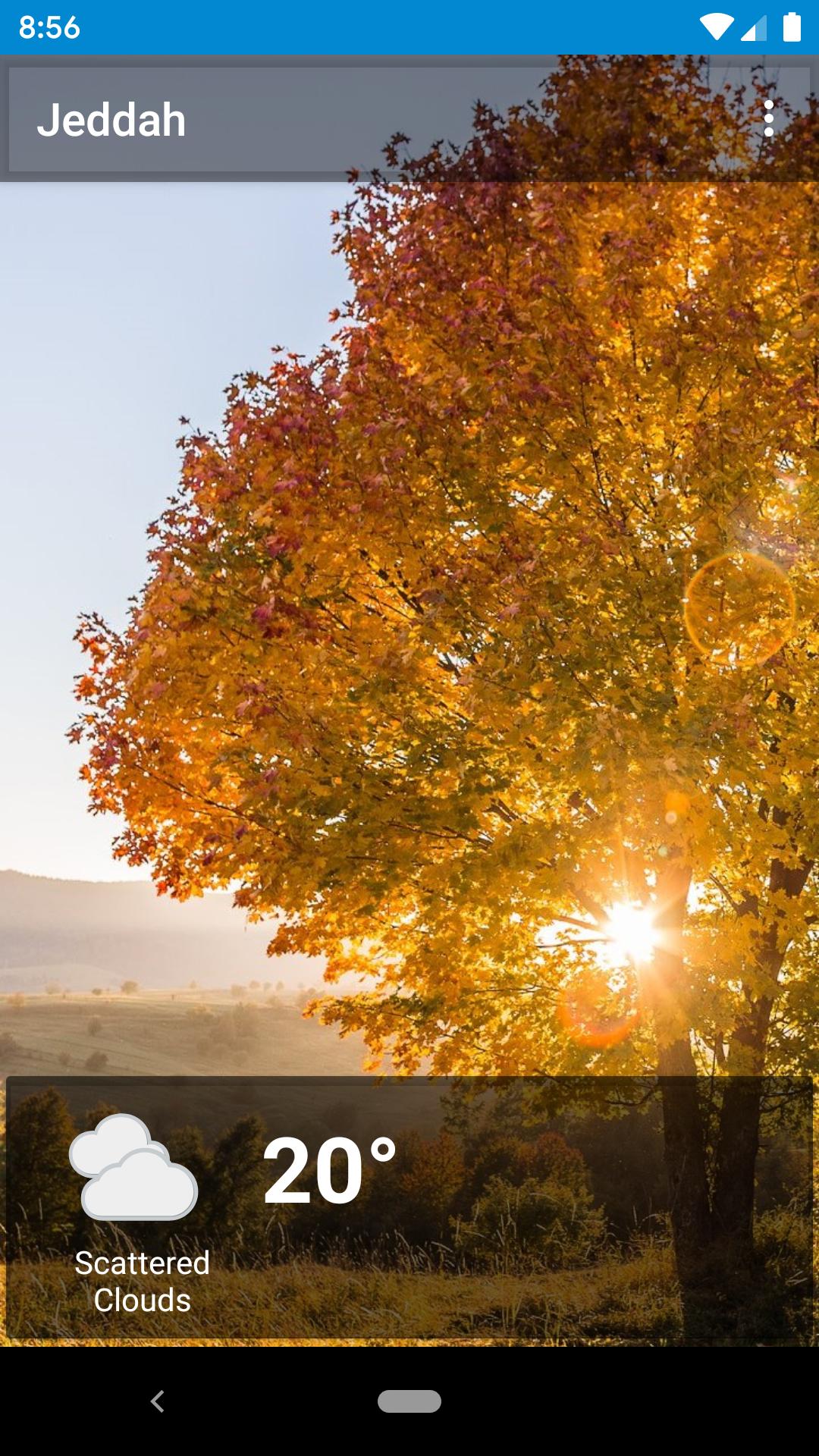 Jeddah, Saudi Arabia - weather and more