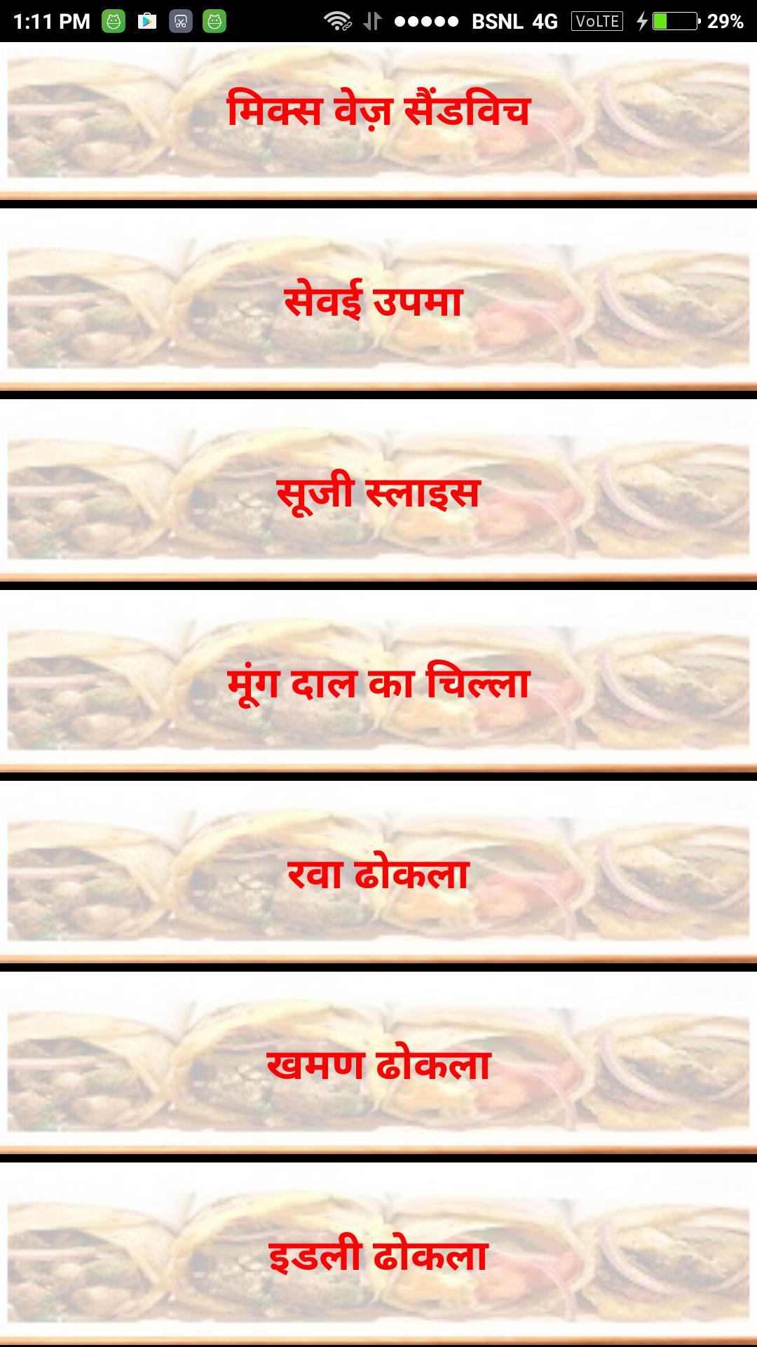 Fast Food Naashta