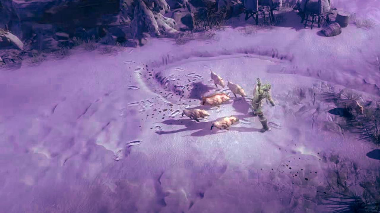 Midgard Vikings Hungry Wolves