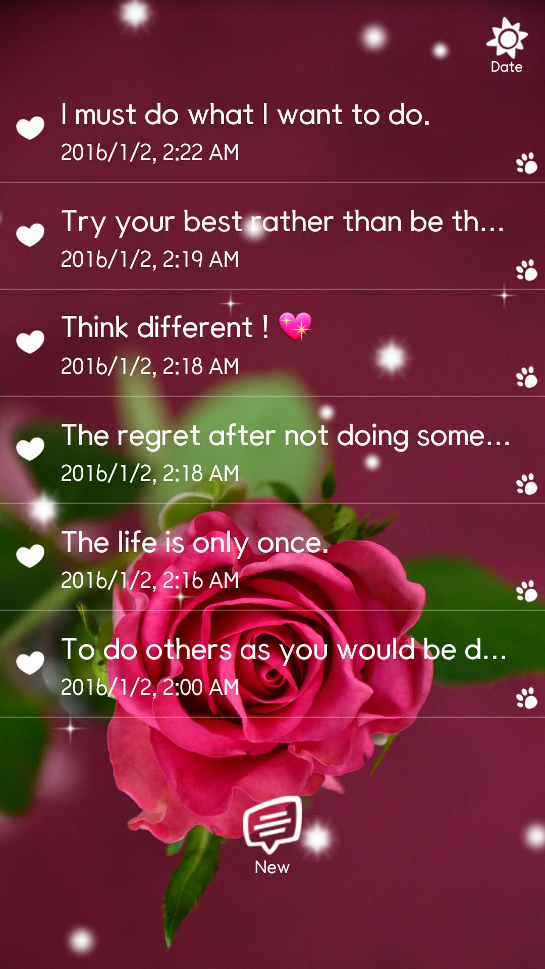 Snow Secret Diary Notes